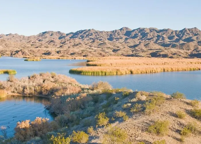Avalon Havasu Pool Playground Sleeps 20 *