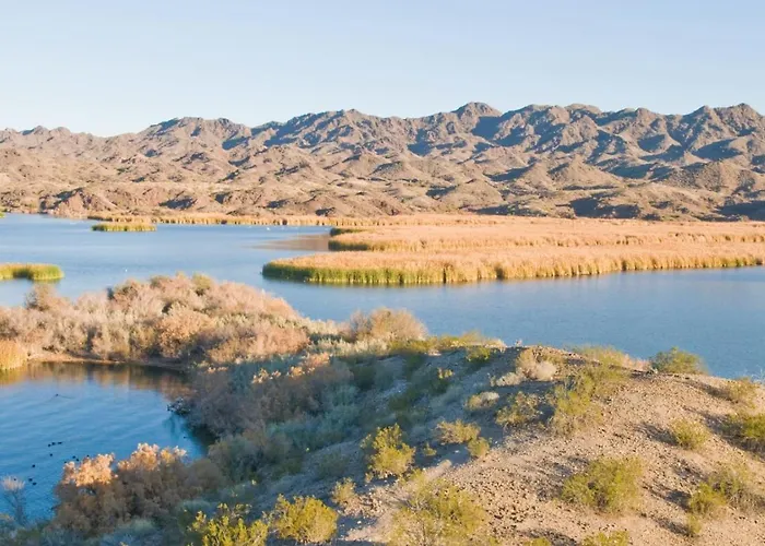 Holiday home Avalon Havasu Pool Playground Sleeps 20 Lake Havasu City